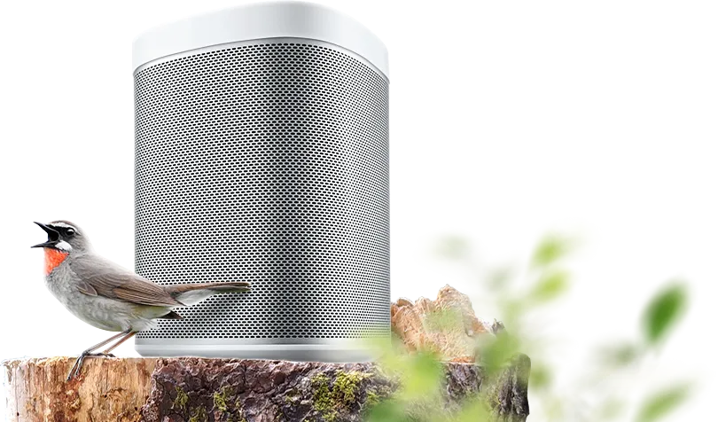 Баннер с товаром Баннер с товаром